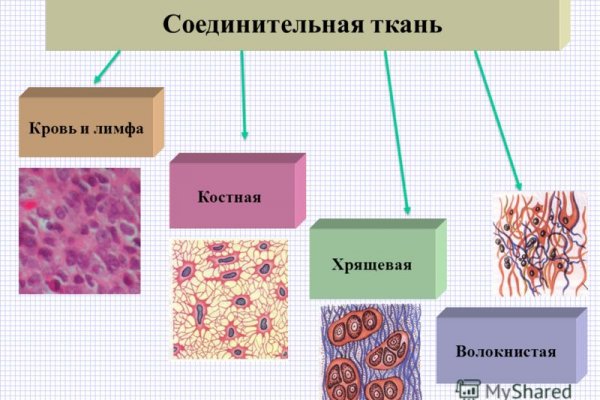 Кракен рабочее зеркало